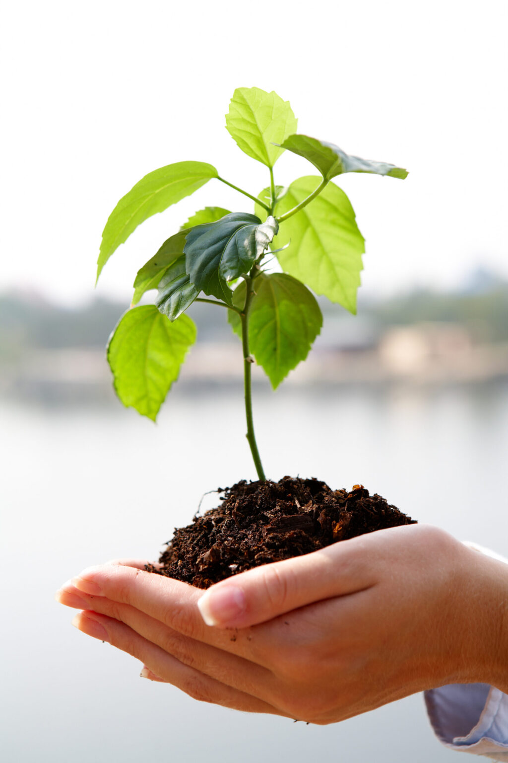 3 Ways to Grow Your Mailing List