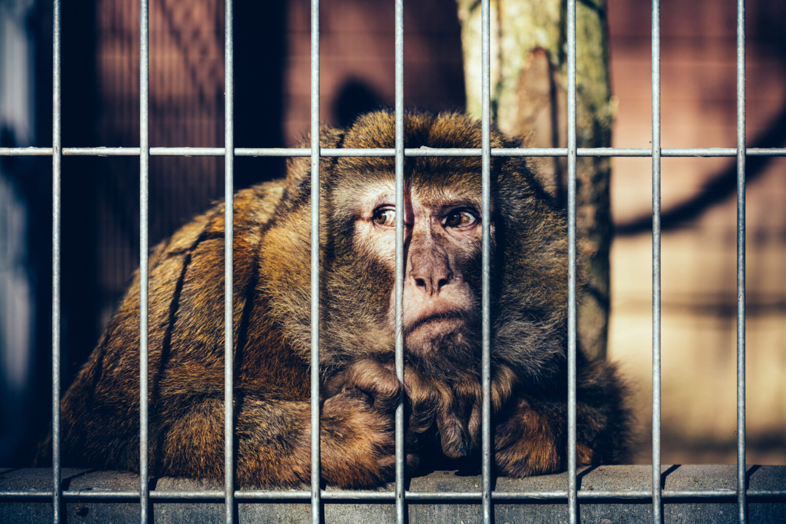 Find-Legal-Photos-To-Use-For-Your-Social-Media