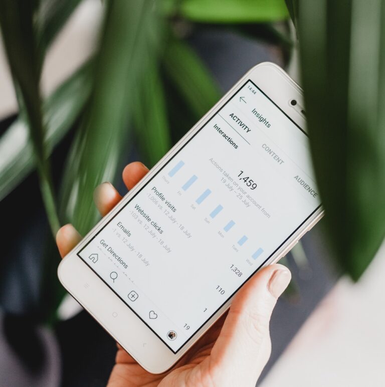 Someone holding a smartphone in their hands with Instagram Insights open on the screen and a green plant in the background.