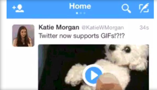 Twitter Supports GIFS