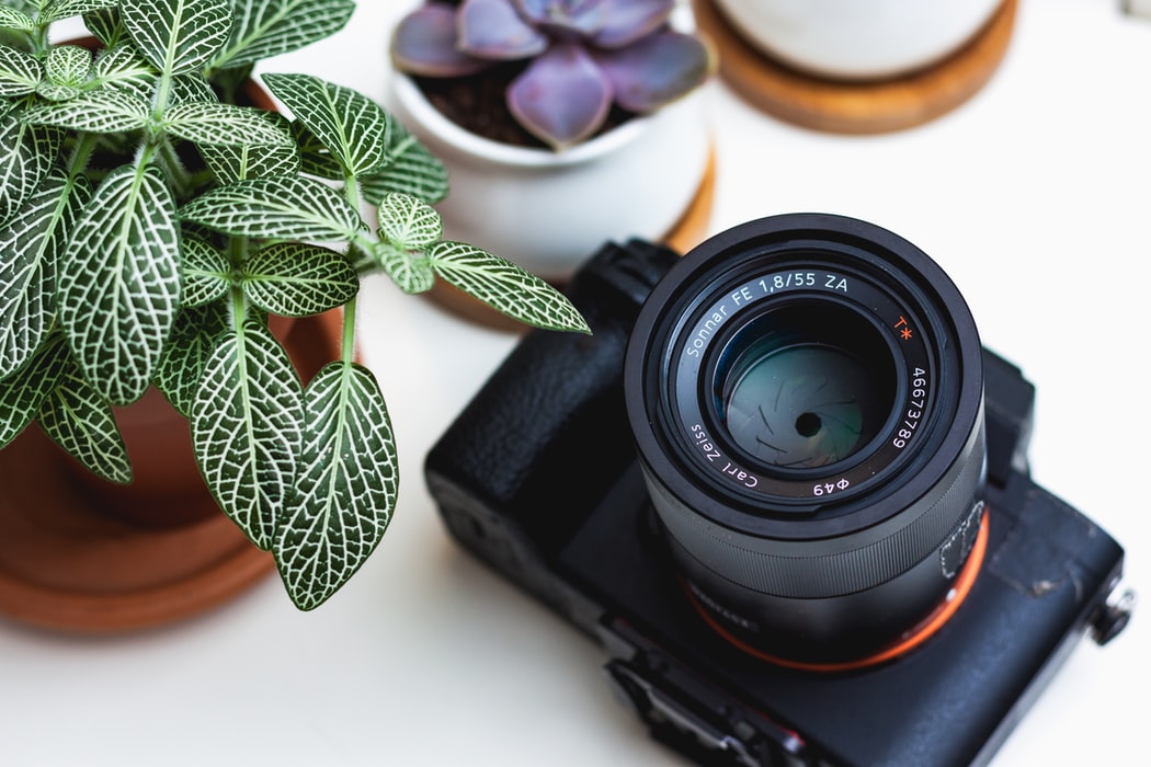 how to take in-house photos