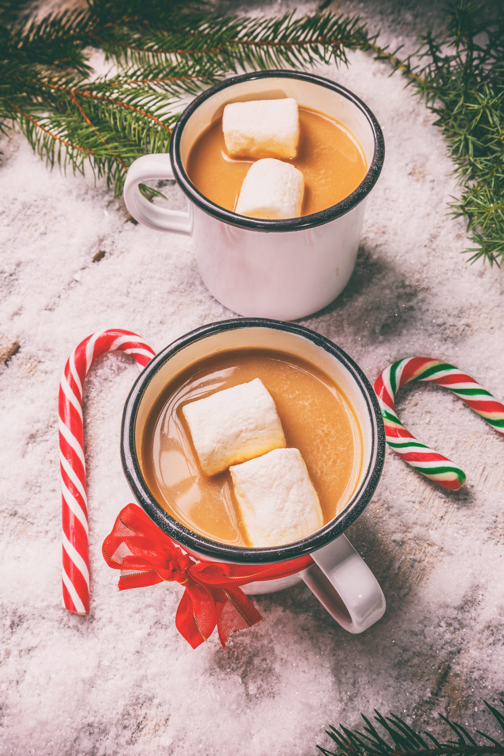 Two mugs of hot cocoa with large marshmallows sit on the snow surrounded by pine needles and candy canes.