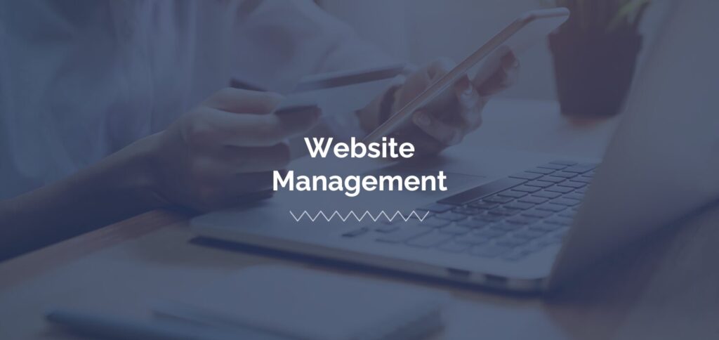 website management agency with shopify store development services
