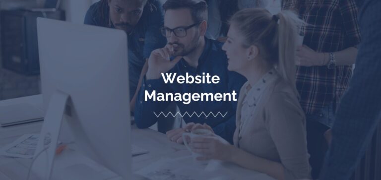 What to Look for in a Website Development Company